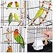 Yaheetech 39-inch Roof Top Large Flight Bird Cage for Small Quaker Parrots Cockatiels Sun Parakeets Green Cheek Conures Budgie Finch Lovebird Canary Pet Bird Cage w/Toysthumb 1