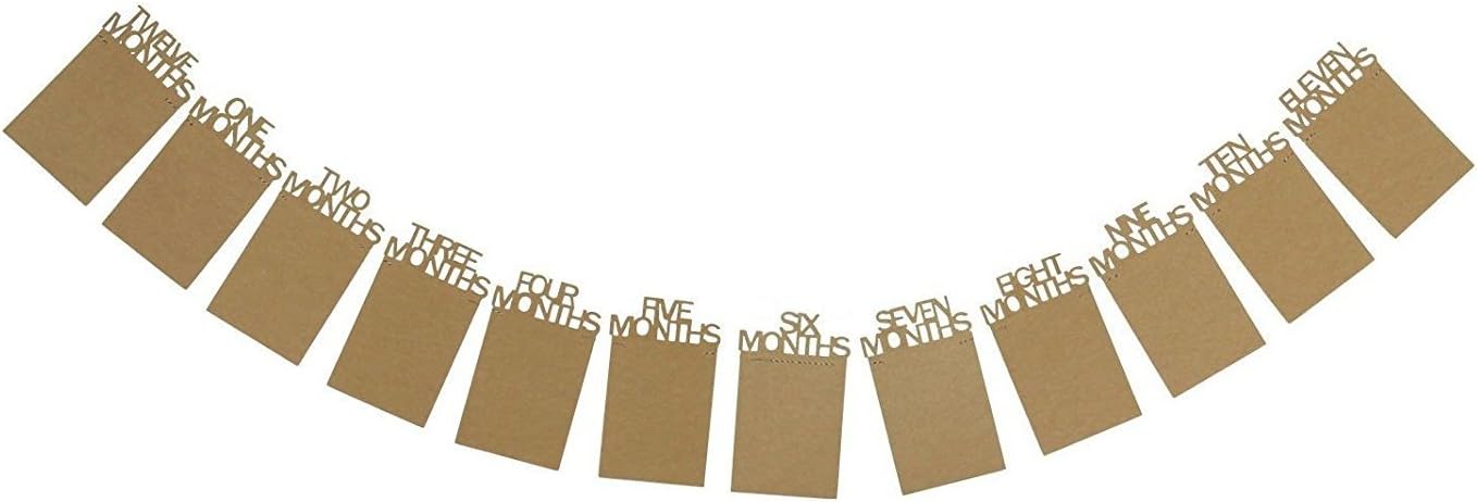JZK 12 Months Baby First Year Photo Frame Bunting, 1st Birthday Party Banner Garland, Baby Growth Record, Paper Material - Image 3