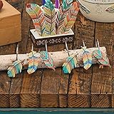Black Forest Decor Southwestern Feathers Shower Curtain Hooks (Set of 12)