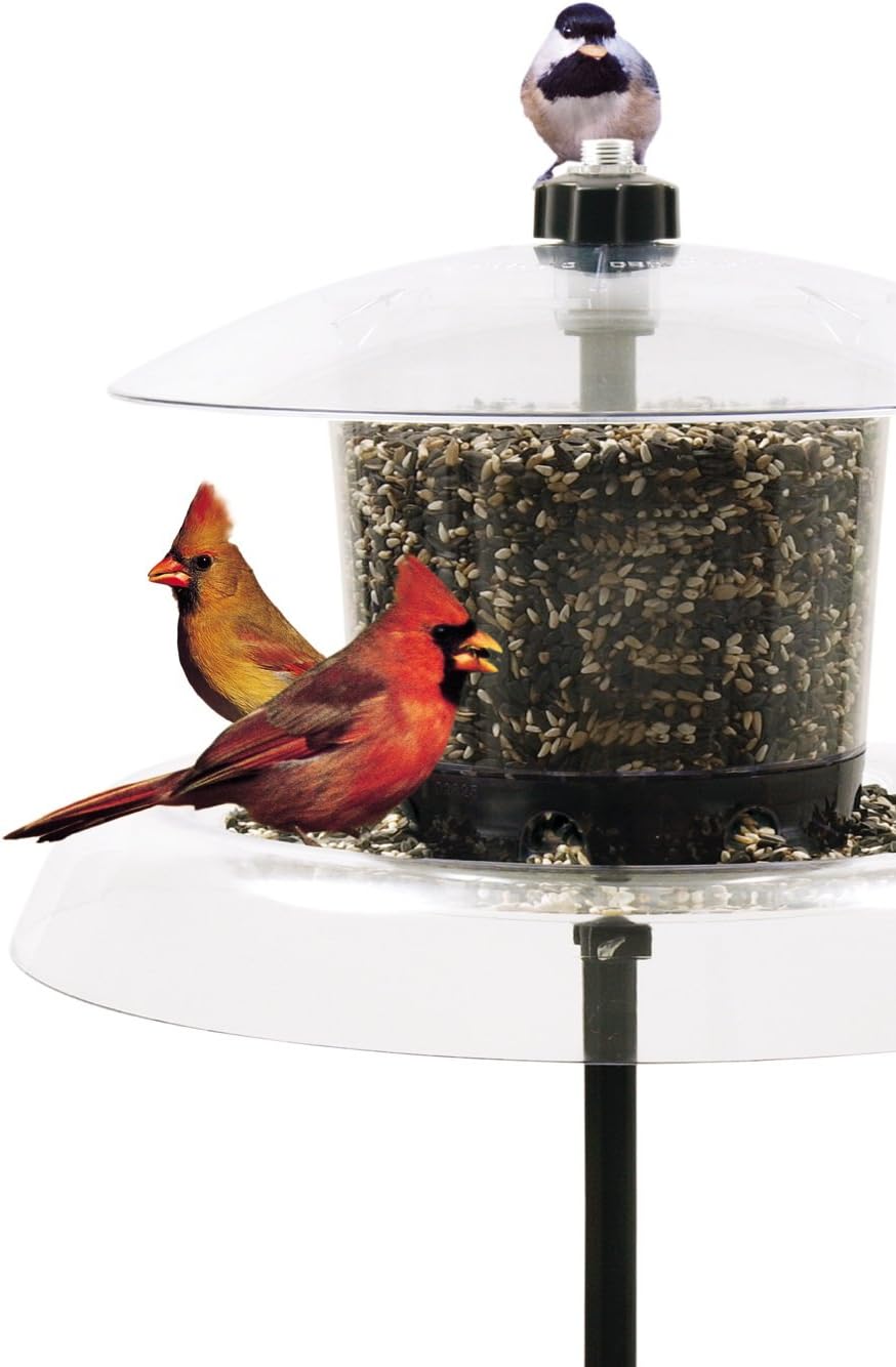 Amazon Com Droll Yankees Inc The Jagunda Squirrel Proof Bird
