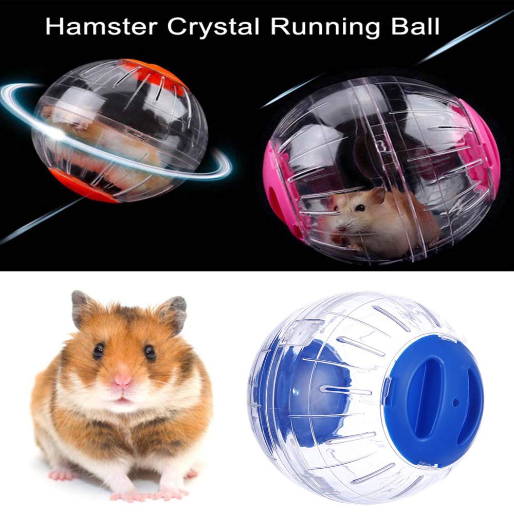 mini hamster ball