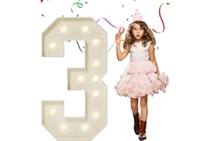 eufony 4FT Marquee Numbers, Large Light Up Numbers 3 for 3rd 13th 23th Birthday Party Decorations, Giant Light Up Number Anniversary Decor, 4 Feet Mosaic Number 3 with LED Lights DIY Kit