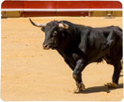 amazon españa contacto