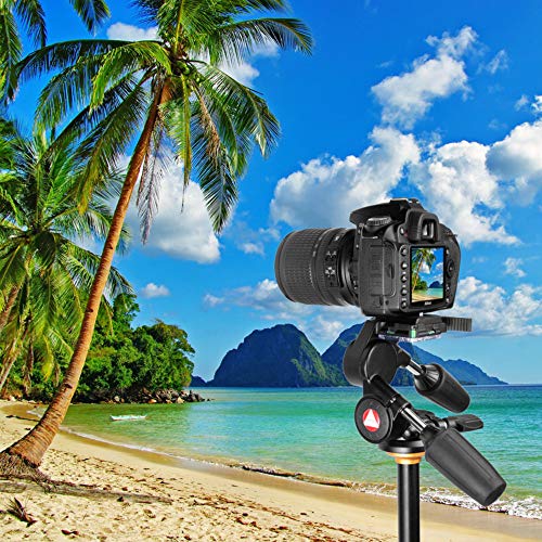 Tripod Pan Head and Tilt Head Professional 3 Way Pan with 1/4-Inch Threaded Quick Release Plate for Tripod, Monopod, Camera Slider, DSLR Camera, Camcorder