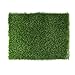 Fasmov Artificial Grass Doormat Multi Purpose Arificial Grass Door Mat, 18