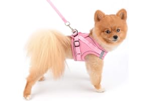 SELMAI Soft Mesh Harness for Cats Small Dogs Reflective No Pull No Choke Step-in Escape Proof Padded Vest for Puppy Boys Girls Adjustable Leash Lead for Kitten Walking Chihuahua Yorkie Pink M