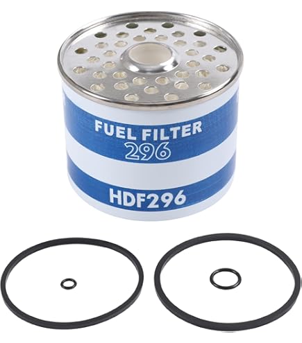 Amazon.com: RAParts Hydraulic Filter LFP6007 Fits Long