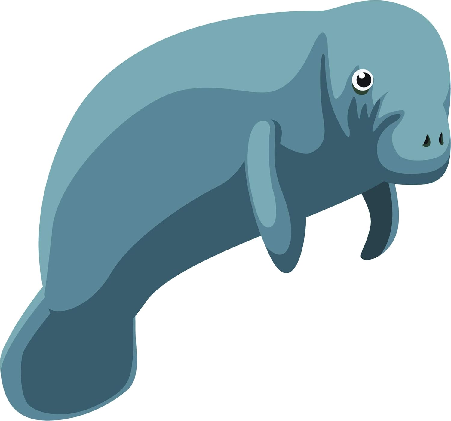 Amazon Com Cute Manatee Ocean Marine Under The Sea Animal Cartoon Vinyl Sticker 12 Wide Looking Right Automotive