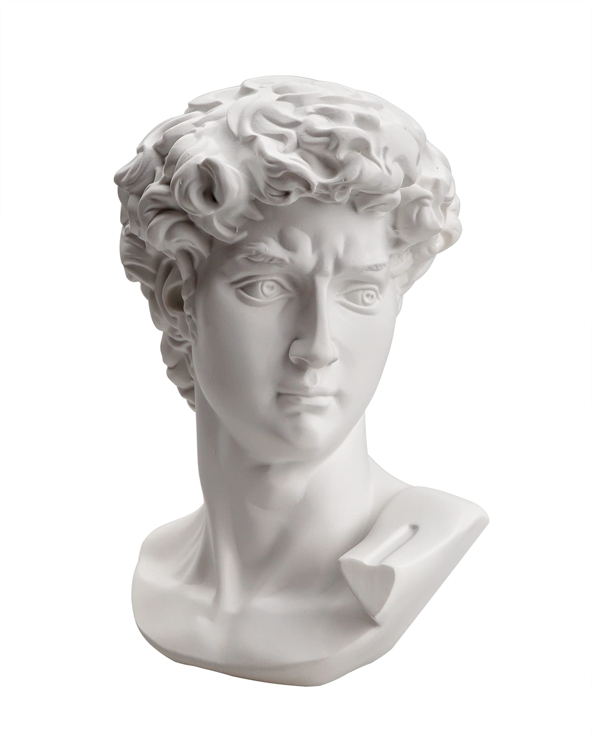 Waldosia 6 Inch Michelangelo's David Bust Statue