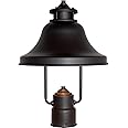 DESIGNERS FOUNTAIN 1-Light Bayport Outdoor Post Lantern, 15 Inch Exterior Lighting Fixture, Bronze, 31336-BZ
