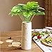 Z-Liant Artificial Plant Leaves : Pack of 4 | Monstera Palm Leaves | Palm Leaves Decorations | Artificial Shrubs Decorations | Fake Simulation Greenery Decorations | Garden-Office-Indoor&outdoor Decor