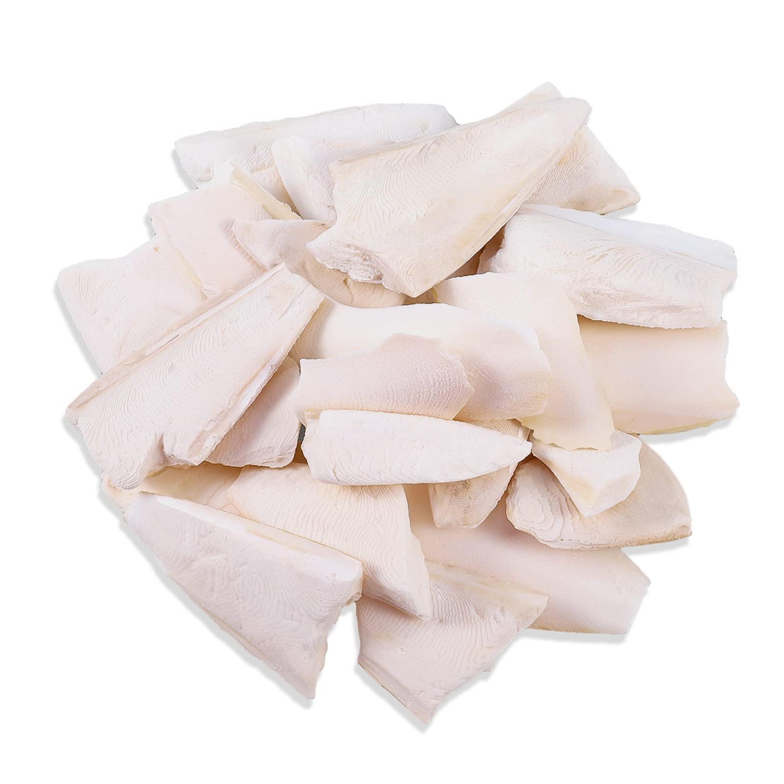 Dacitiery 1 Box Broken Cuttlefish Bone,Chew Toys for Birds Parrots Snails Tortoises Budgies, 100g