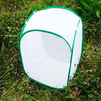 TSLBW Insect Butterfly Habitat Cage Large 40x40x60cm Collapsible Pop-Up