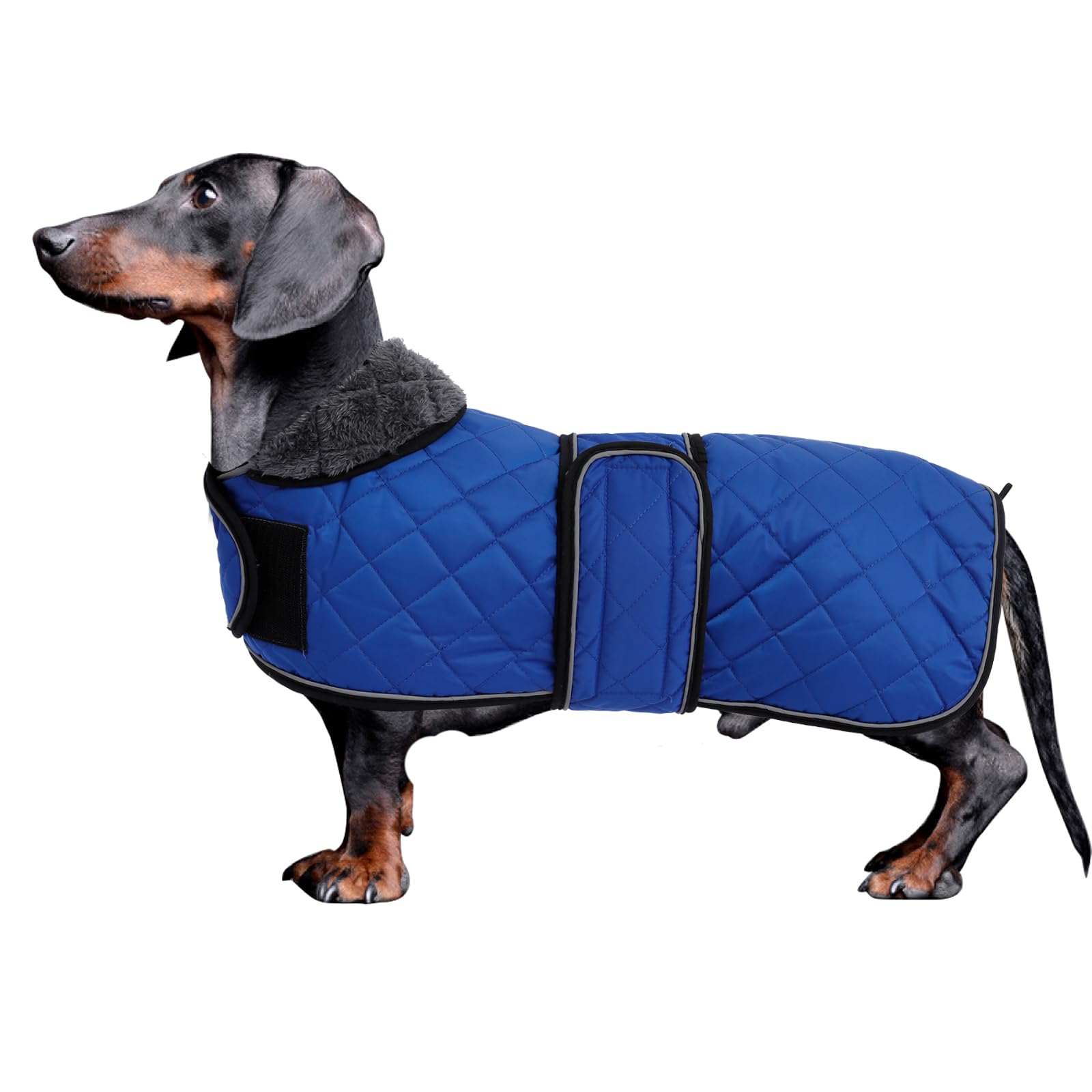 Morezi Dachshund Coat Dachshund Coat Dog Winter Coat with Fleece Lined Padded Dog Outerwear with Adjustable Bands Navy - L