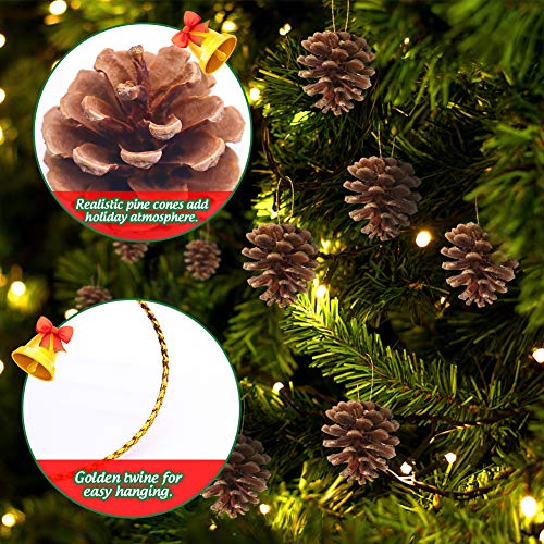 Johouse Pine Cones and Pine Branches, 40PCS Artificial Plants, Fall Winter Holiday Home Decor Vase Filler, DIY Accessories for Garland Wreath Christmas Embellishing