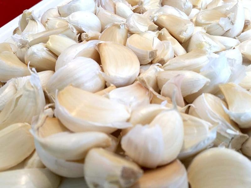 Live Seeds Provence Wight Garlic 30 Cloves for Large Bulbs UK