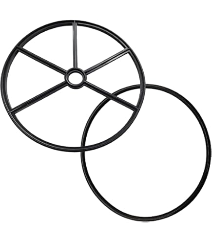 Amazon.com: 271148 2-Inch Diverter Spider Gasket & 271151 O-Ring