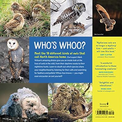 Owling Enter The World Of The Mysterious Birds Of The Night - 