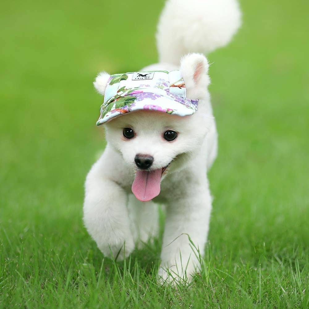 Dog Hat-Pet Baseball Cap/Dogs Sport Hat/Visor Cap with Ear Holes and Chin Strap for Small Dogs (Size S, Flowers) by Happy Hours : Pet Supplies