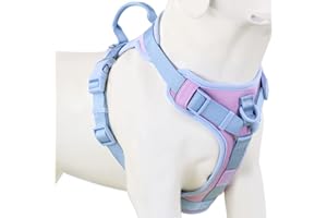 Wolfone No Pull Dog Harness Adjustable Soft Padded Pet Vest with Control Handle Adorable Daily Harness for Dogs（Sweet Lilac S