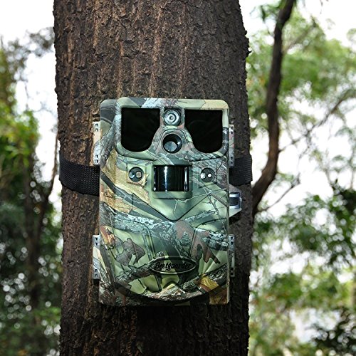 Trail Camera 12MP 1080P HD Waterproof IP66 Infrared Night Vision IR LED Game and Trail Hunting Scouting Camera with Game Call Function for Cold Blooded Animals Surveillance Camera