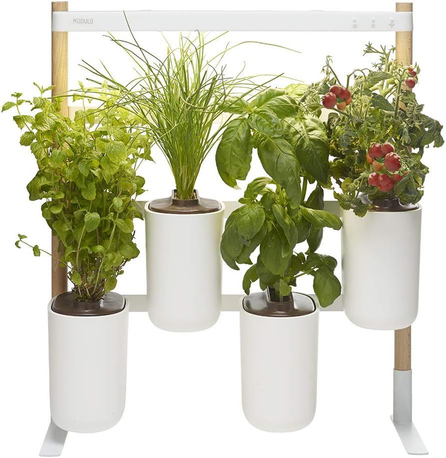 Prêt à Pousser Bereit zum Schieben Modulo, Ihr Gemüsegarten für den