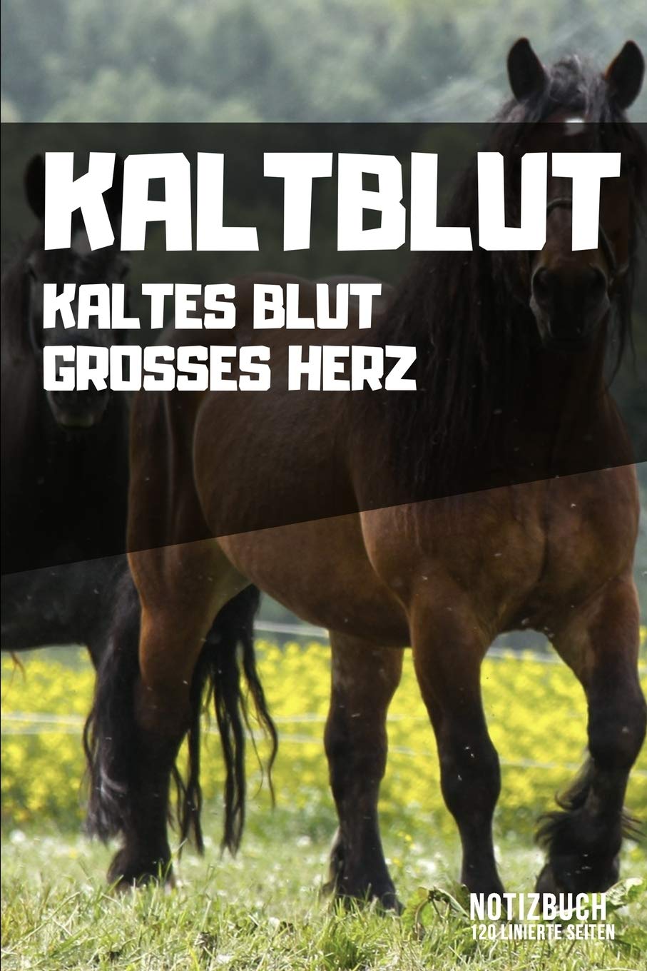 Download Kaltes herz sprueche Free Kaltes Herz Sprueche