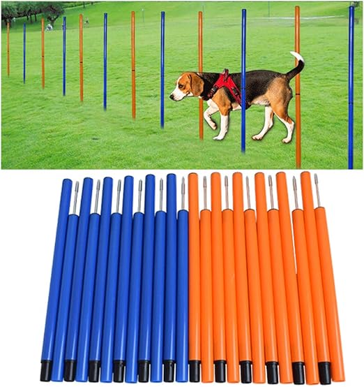 outdoor dog training equipment