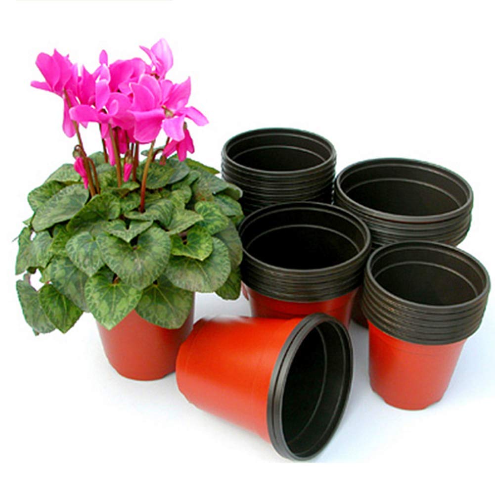 Vasi tradizionali Come Immagine Spettacolo TXYFYP