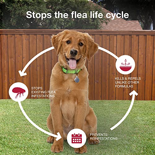 K9 Advantix II Medium Dog Flea, Tick & Mosquito