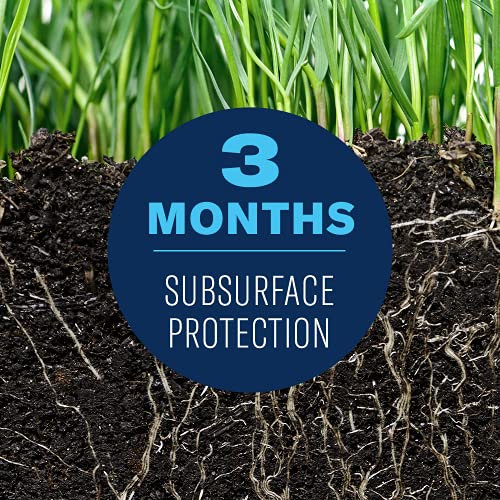 BioAdvanced 700288S Complete Insect Killer for Soil & Turf for Soil and