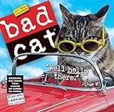 Cover for 9780761188483