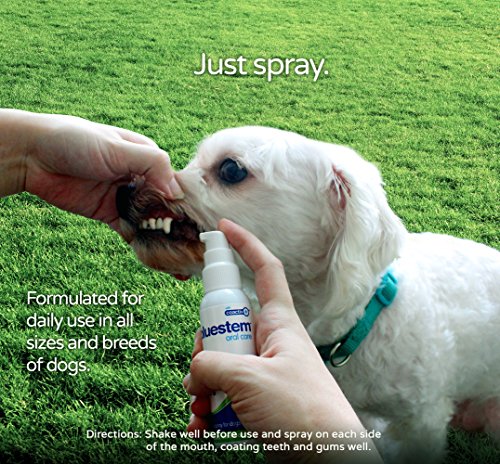 Dog Oral Spray Breath Freshener: Pet Dental Teeth & Mouth Cleaning Spray That Treats All Dogs Bad Breath Smell When Breathing. Tooth Tartar + Plaque Cleaner Remedy. Small Mint Flavor Remover for Pets - Thumbnail 2