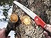 SHINE HAI Hand Saw, Folding Pruning Saw with Rugged 7'' Blades, All Purpose, Best for Tree Pruning, Camping, Hunting, Toolbox and Daily Use with Non-slip Ergonomics Handle camping Saws
