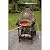 Wood-Fired Pizza Oven