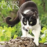 Tuxedo Cats 2017 Wall Calendar