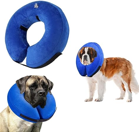 amazon e collar for dogs