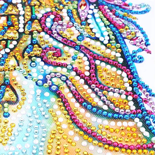 DIY 5D Diamond Painting by Number Kits, Crystal Rhinestone Embroidery Paint with Diamonds, Full Drill Canvas Art Picture for Home Wall Decor
