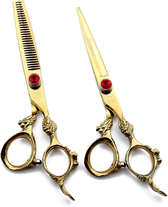 RENYAYA Professionelle Friseurscheren-Set - Friseur/Salon Schere, 6, 0