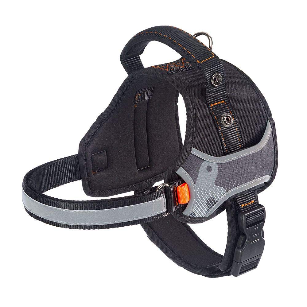 Dog Harness HERCULES EXTRA SMALL, Adjustable, Padded, Resistant, Scratchproof, Visible in the Dark, with Handle