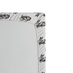 Ambesonne Bunny Fitted Sheet, Sketch Art Pattern