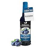 Syruvia Sugar-Free Blueberry Syrup - 25.4 fl oz