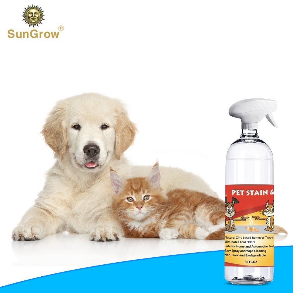 SunGrow Advanced Pet Urine Stain and Odor Remover for Dogs & Cats Owners: Clear, Clean, Enzyme Blend with a Pleasant Green Tea Scent : Color Safe & Effective for Clothing, Rugs, Counter-Tops & Floors