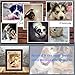 PETAFLOP Pet Picture Frames Memorial Dog WOOF Themed Photo Frame 4 x 6 Wall and Tabletop Display