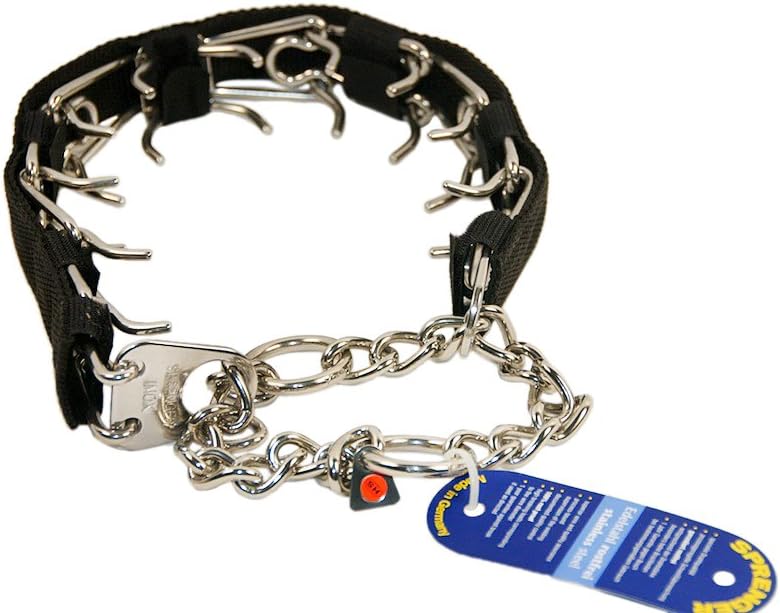 cutest puppy in the world 2018