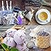 Lavande Sur Terre 1 Lbs French Dried Lavender Buds - Lavandula Dentata, 16 oz Value Pack - Highland Lavender Flower Buds for Culinary, DIY Projects, and Aromatherapy, LV-U-3