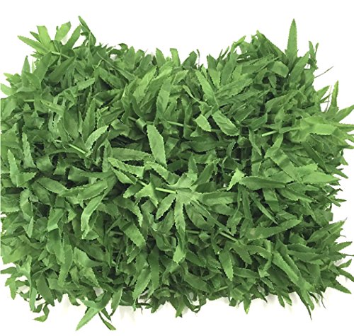 BOSHENG Green Artificial Fern Leaf Tropical Lei Necklaces,Pack of 30
