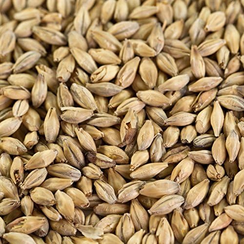 1 kg Pale Ale malt for Beers and Ales EBC 5.5-7.5