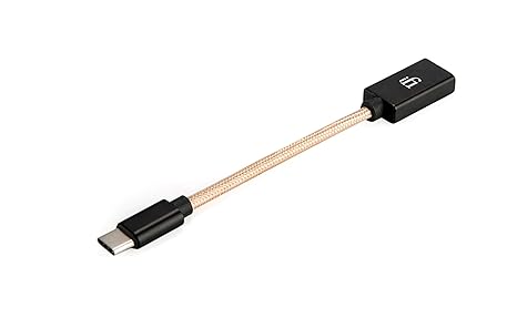 iFi Audio OTG Kabel Typ USB-C