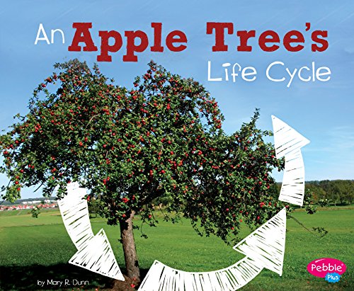 Compare Price Tree Cycle On Statementsltd Com
